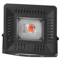 Прожектор светодиодный Эра FITO 50Вт 220х199х35 220-240В IP65 LED BLUERED