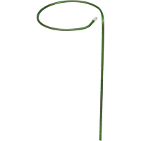 54202150.png